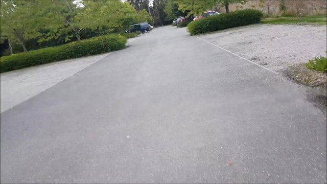 Work Park Public Fuck Swallow