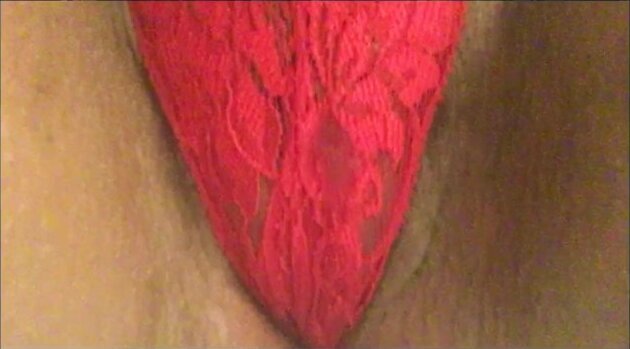 Vibrating Tender Juicy Pussy inside Panties