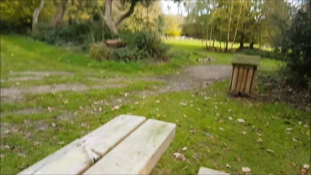 Fuck Bench Nature Park