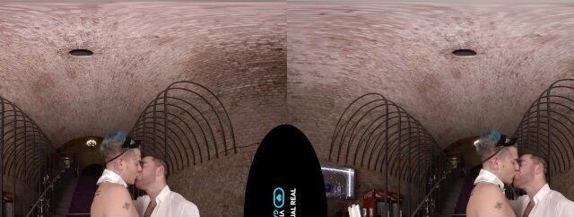 VirtualRealGay.com secret butt-ler