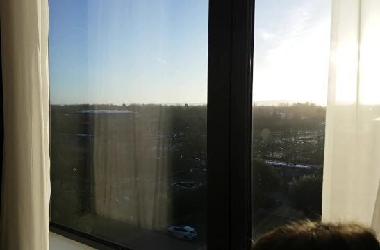 Morning Fuck Swallow Window