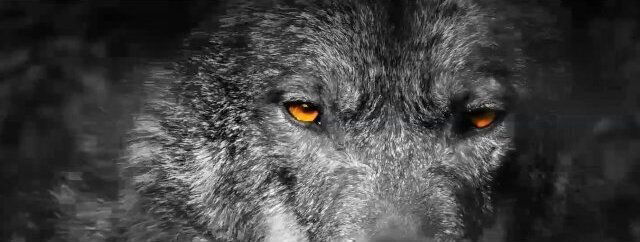 ULTIMATE CHALLENGE watching onlyfans