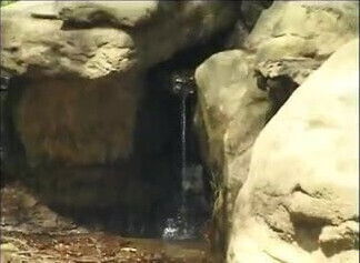 Lee Walbash Spots Jason Sizemore With Cock In The Mouth