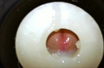 Filling Wildhoney's throat twice 