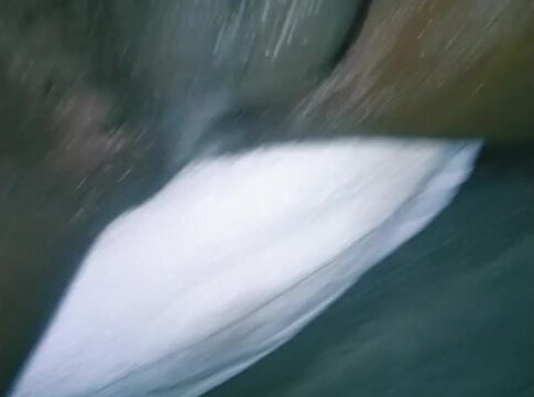 THICK BLACK LONG DICK