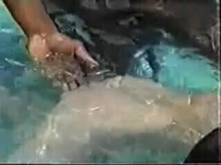 Katie's Outdoor Hot Tub Party