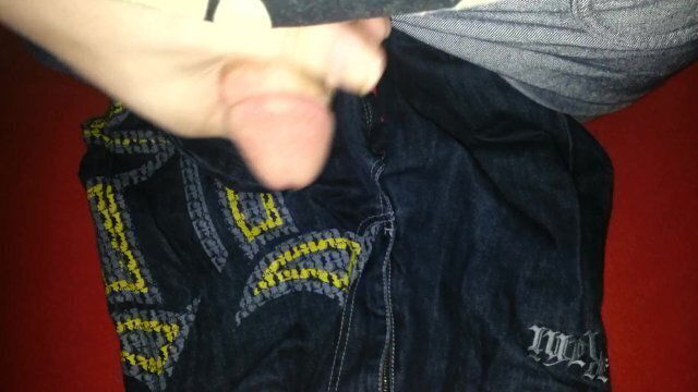 SK8ER WIXXT SILVERNEN FUBU KANI BAGGY