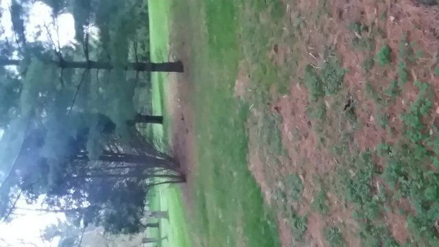 Risky public fucking by nature trails. Verified member cums in public.