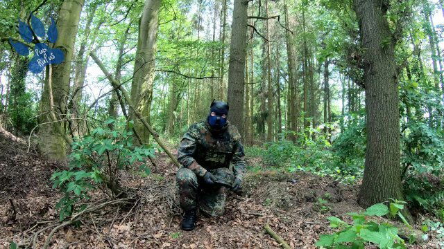 Flecktarn wichst Wald