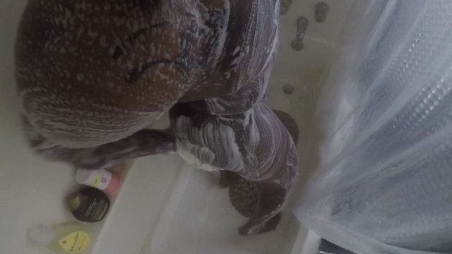 guys this shower? know when