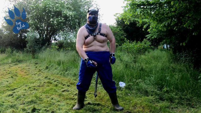 Garten-Hund wichst Freien