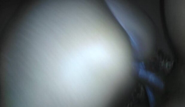 Diva Pussy is the Best