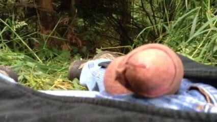 Feeding the mosquitoes 3