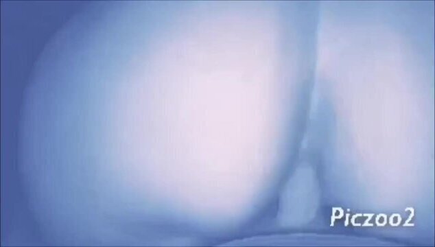 Sucking a hard cock then climbing on top and riding verse cowgirl