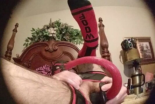 Part 2/4: Zeus plays with tail