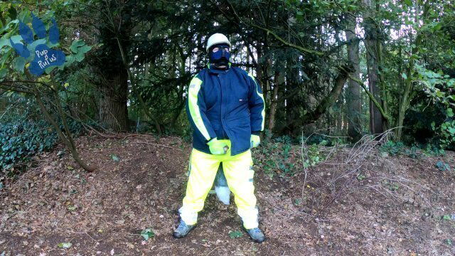 HiViz sneaked work have quick