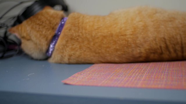 Build your headset ModMic Power Converter