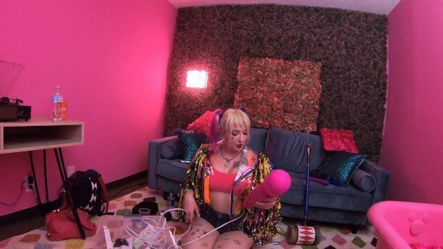 Birds Prey Harley Quinn Looking Right Toys