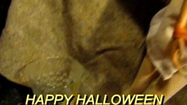 preview (cum only) Halloween 2019 Savannah 