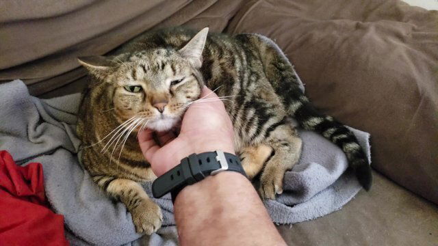 Pussy Gets Rubbed