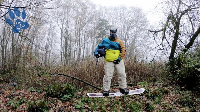 Snowboard pawing outdoors