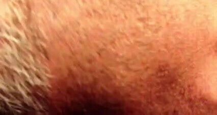 me getting my cock sucked 2