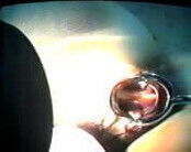 (18)Zhangjiajing nurses (Taiwan)