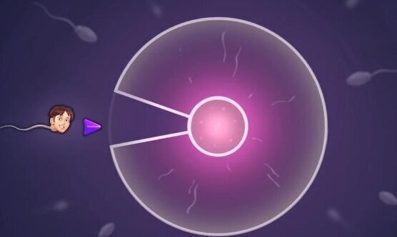 SummertimeSaga SHE'S PREGNANT PART