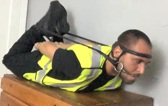 Hogtied and Bridled Traffic Cop