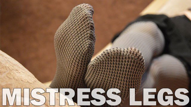 Mistress legs opaque grey pantyhoses