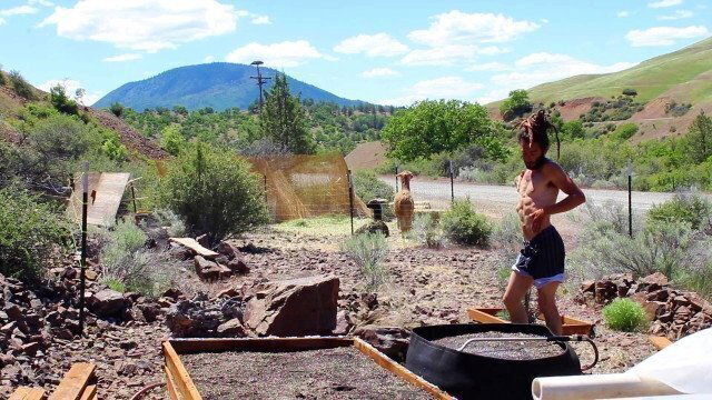 Knotty Spreading Seed Shredded Abs. Full