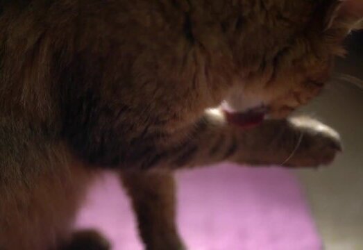 Ester Exposito FAVORITE's Georgeous Pussy Loves Swallow