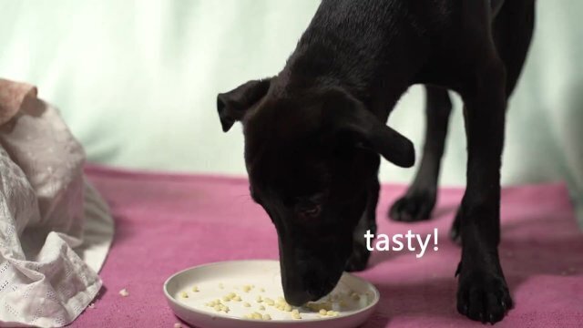 Italian Lesbian Amber Alena's Filtered VIDEO Bitch Swallowing