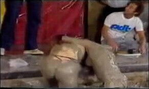 CLOTHED Mudwrestling British Chicks wrestle in mud