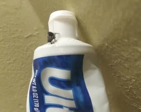 Sexy couple FUCKING on toothpaste