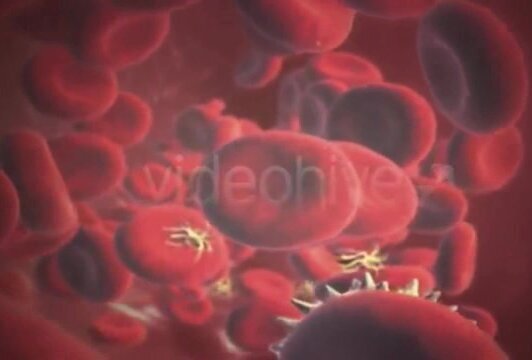 Corona Fucks Economy (Futa)