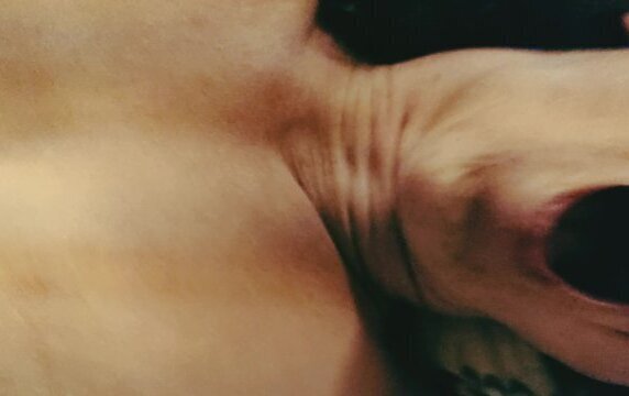 Spritz mene Titten voll!