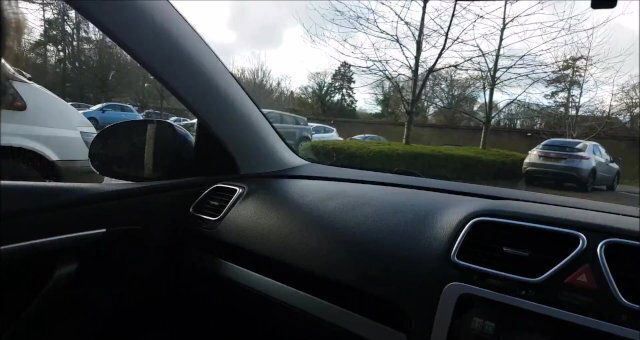 Public Park Blowjob with Down