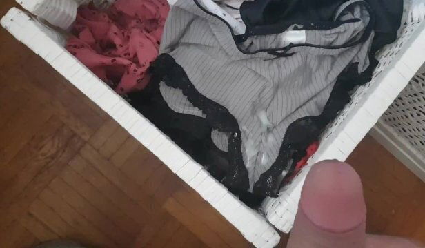 sister panties drawer home