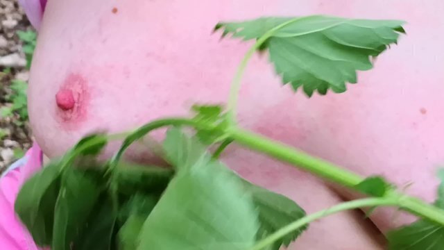 Nettle play outdoor burning