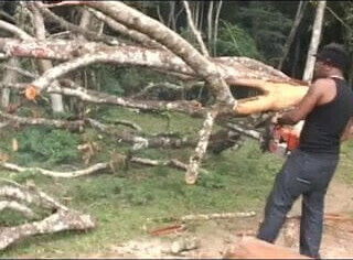 Daniela Perdida No Mato#