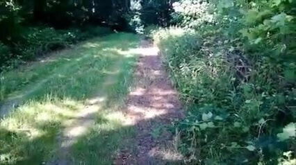 hooker satisfies customer outdoor