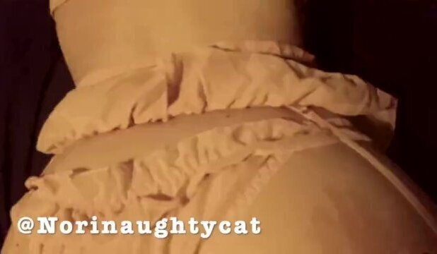 Nori Kitten Gets Some Stress out With a Friend Teaser