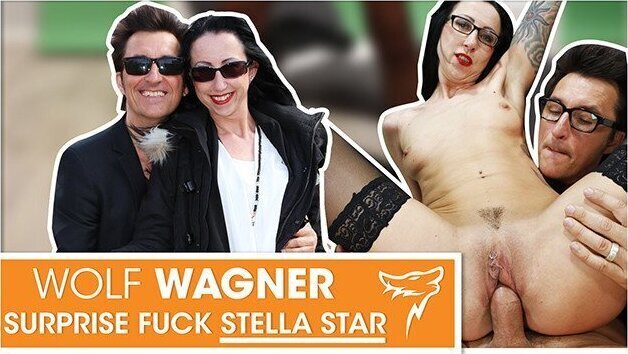 Stella Star picked then fucked chair! WOLF WAGNER