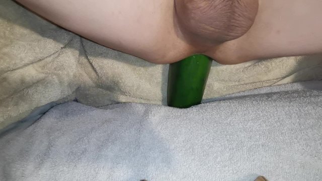 cucumber vegetable insertion training
