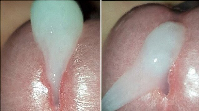 stream huge thick cumshots (triple cum)