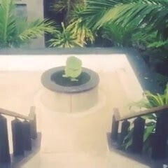 Valeria Lukyanova human barbie (2013)