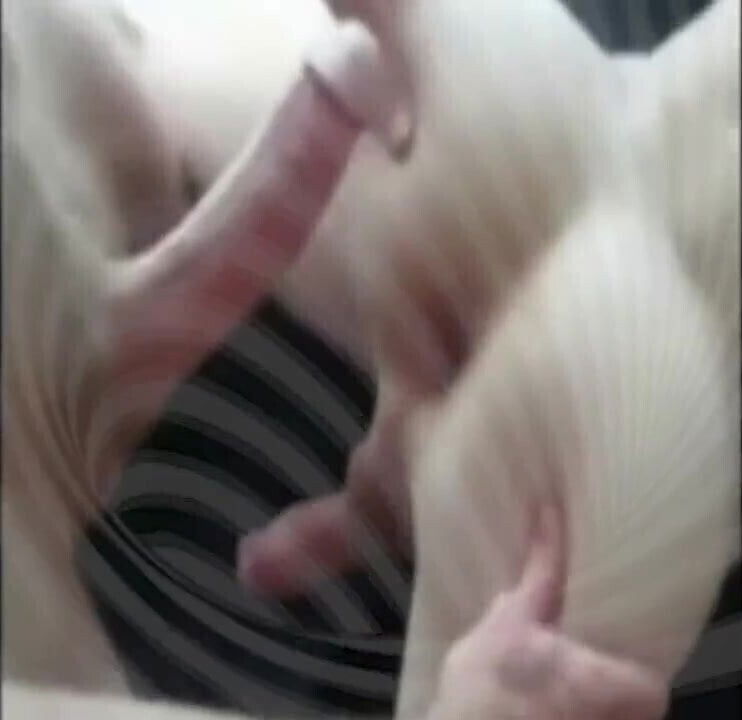 trainer - based on Solomon's trainers