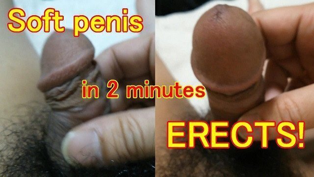 tried erecting soft penis