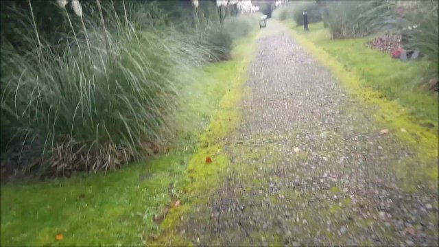 Risky Public Pathway